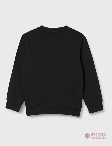 Champion Legacy- Classic Logo Crewneck BOYS Sweater - thumbnail image - Premier B2B Stocklot Marketplace