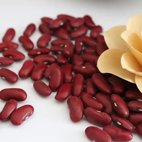 Premium Dark Red Kidney Beans - Bulk Supply - thumbnail image - Premier B2B Stocklot Marketplace