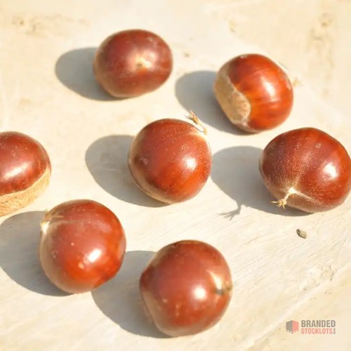 Premium Organic Fresh Chestnuts - thumbnail image - Premier B2B Stocklot Marketplace