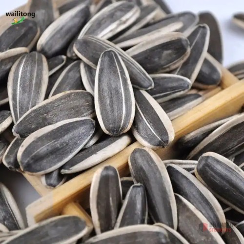 Premium Organic Raw Sunflower Seeds - Premier B2B Stocklot Marketplace