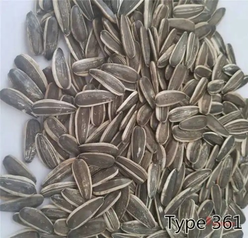 Premium Organic Raw Sunflower Seeds - thumbnail image - Premier B2B Stocklot Marketplace